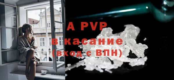 ПСИЛОЦИБИНОВЫЕ ГРИБЫ Богданович