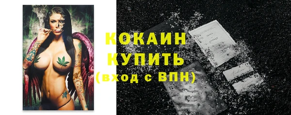 ПСИЛОЦИБИНОВЫЕ ГРИБЫ Богданович