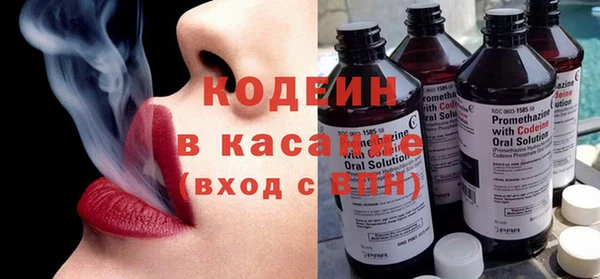 ПСИЛОЦИБИНОВЫЕ ГРИБЫ Богданович