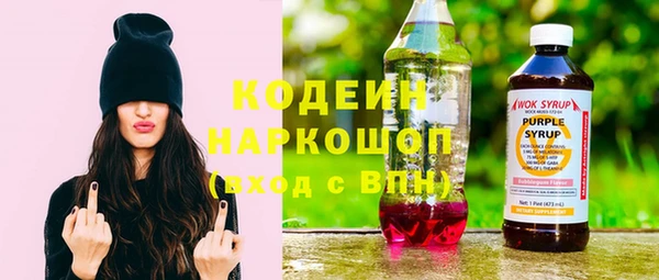 ПСИЛОЦИБИНОВЫЕ ГРИБЫ Богданович