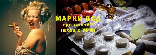 индика Белоозёрский